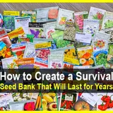 How to Build a Survival Seed Bank That Will Last for Years