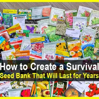 How to Build a Survival Seed Bank That Will Last for Years