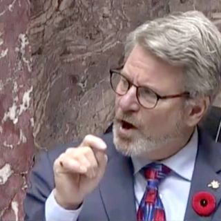 Conservative MLA Bruce Banman prompts QP controversy over library books