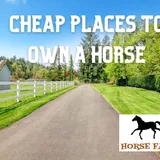 Where Is The Cheapest Place To Own A Horse In The U.S.? | Horse FAQ's