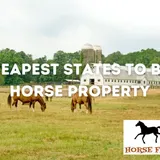 Cheapest States To Buy Horse Property | Horse FAQ's