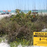 Florida adds 113 coronavirus deaths, a new one-day record