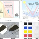 Colored and paintable bilayer coatings with high solar-infrared reflectance for efficient cooling