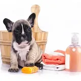 How To Clean A Dog Without A Bath (9 Tips)