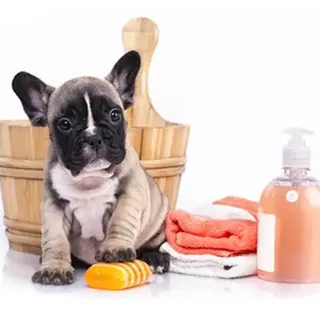 How To Clean A Dog Without A Bath (9 Tips)