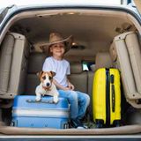 A Step By Step Guide: How To Travel With Your Pet