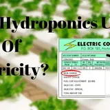 Does Hydroponics Use A lot Of Electricity? - Hydroponicsspace