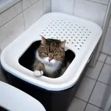 Where To Put The Cat Litter Box! Find The Perfect Spot!