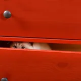 Cat Hiding After Moving To New Home: Keep Your Cat Calm And Safe