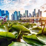 Why I Love Living in Singapore: Expat Life In The Lion City | Johnny Africa