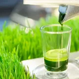 Best Wheatgrass Juicer - Just Juice