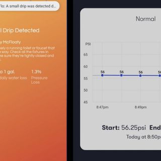 Flo by Moen vs Phyn Plus: Which Detects Leaks BEST?!? - Just Needs Paint