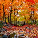 Minnesota's Fall Colors Really Taking Off This Week