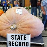 Check Out Enormous Pumpkins This Weekend in Jones County