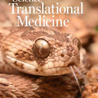 Vulnerability to reservoir reseeding due to high immune activation after allogeneic hematopoietic stem cell transplantation in individuals with HIV-1