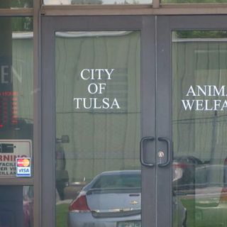 Tulsa Animal Welfare announces monthly closure for deep cleaning, team training