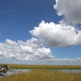 Land purchase finalized to prevent Everglades oil drilling