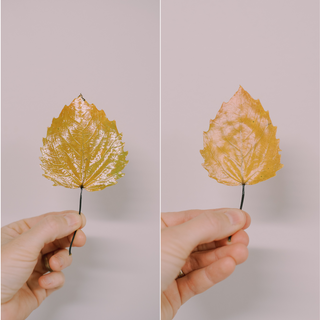 A Look at Matte vs Gloss Mod Podge Fall Leaves