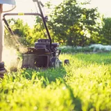 Pros and Cons of Dethatching Lawn: Guide for Effective Lawn Keeping - LawnAsk