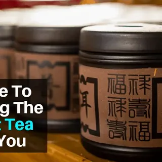 What's the Right Tea? - Choosing the Best Tea For You