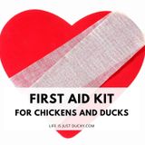 Make A First Aid Kit For Chickens And Ducks