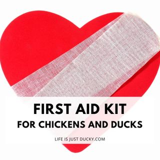 Make A First Aid Kit For Chickens And Ducks