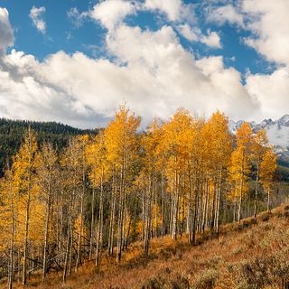 The Fall Guide To Idaho's Most Beautiful Place To Visit In Autumn