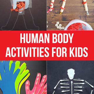 Human Body Activities for Kids