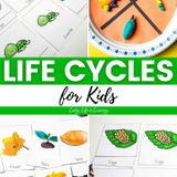 Fun Life Cycles for Kids