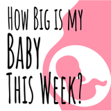 How Big is My Baby This Week? Baby Size Compared to Fruit & Veggies