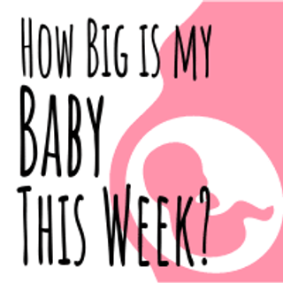 How Big is My Baby This Week? Baby Size Compared to Fruit & Veggies