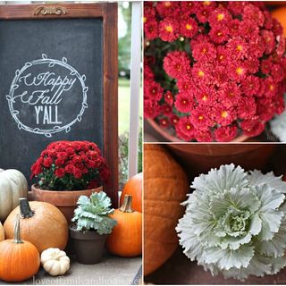 Our Fall Porch 2013 {Fall Porch Decorating Ideas} - Love of Family & Home