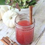 Easy & Delicious Cranberry Cider {Fall Progressive Dinner Party} - Love of Family & Home