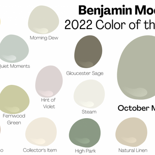 Getting Started with Paint Colors