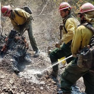 Oregon Starting Fire Season With Limited Budget