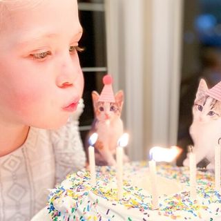 Super Cute Kitty Cat Kids Birthday Party! - Ivy turns 5! - Making Things is Awesome