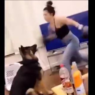 Video of woman repeatedly punching dog sparks investigation