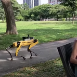 A terrifying mechanical dog is now stalking a Singapore park to make sure people stay properly distant