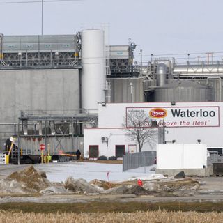 Number of workers with coronavirus at Waterloo Tyson plant more than double earlier figure