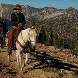 Wallowa Mule Packer