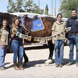 Scottsdale police horse 'Big Ben' retires