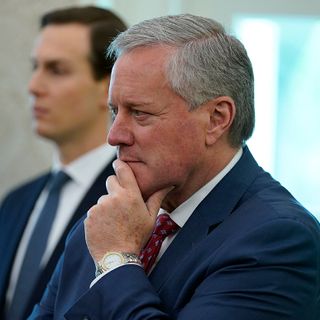 Meadows learns to navigate Kushner’s sprawling White House influence