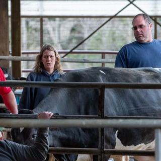 Two Maine dairy farms dumping milk as demand drops, others holding steady