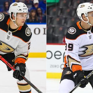 Ducks Sign Guhle, Carrick to Contract Extensions