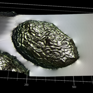 Future Mars astronauts may chomp on Earth's tiniest flowering plant to survive