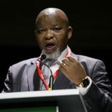 South African Minister Says US-Funded NGOs Stifling Development | Flipboard