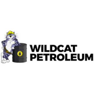 Wildcat Petroleum (LON:WCAT) Sets New 1-Year Low at $0.13