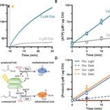 Light-powered CO2 fixation in a chloroplast mimic with natural and synthetic parts