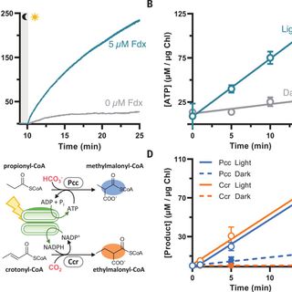 Light-powered CO2 fixation in a chloroplast mimic with natural and synthetic parts