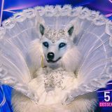 Snow Fox is unmasked as she WINS Masked Singer Australia - and judge Chrissie Swan guessed correctly based on the pop star's walk - WSTPost